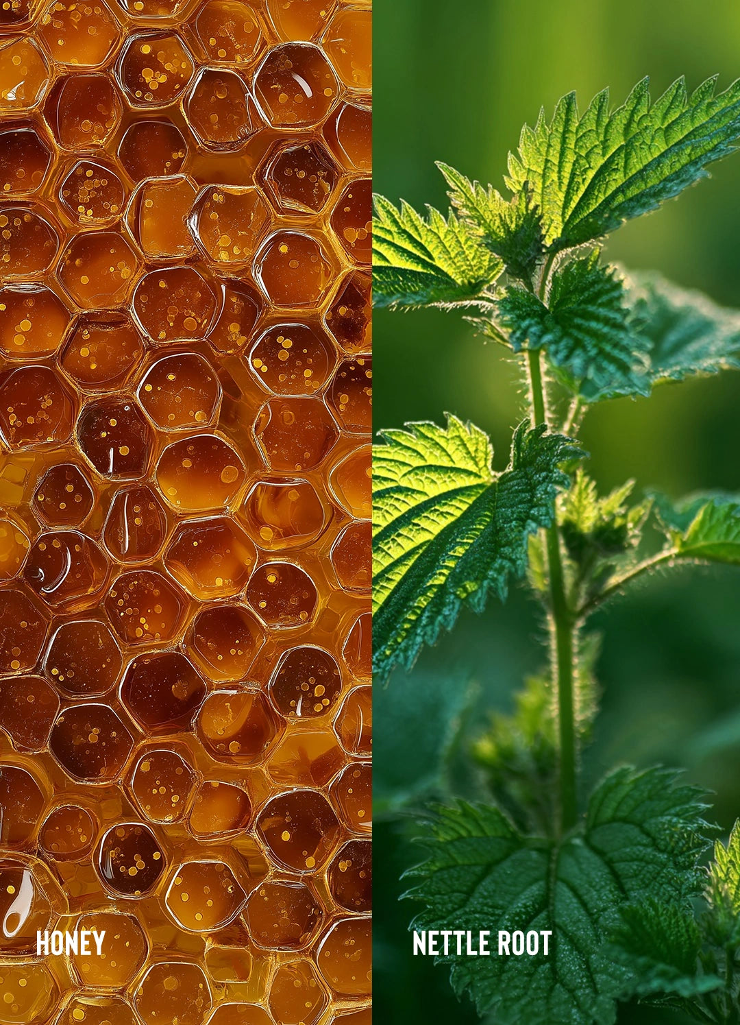 Honey Dew- Liquid Moisture Refresher - Image 5