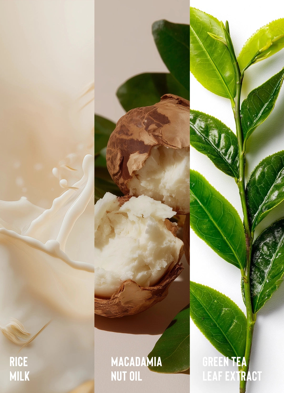 Curl Love Moisture Milk - Image 5
