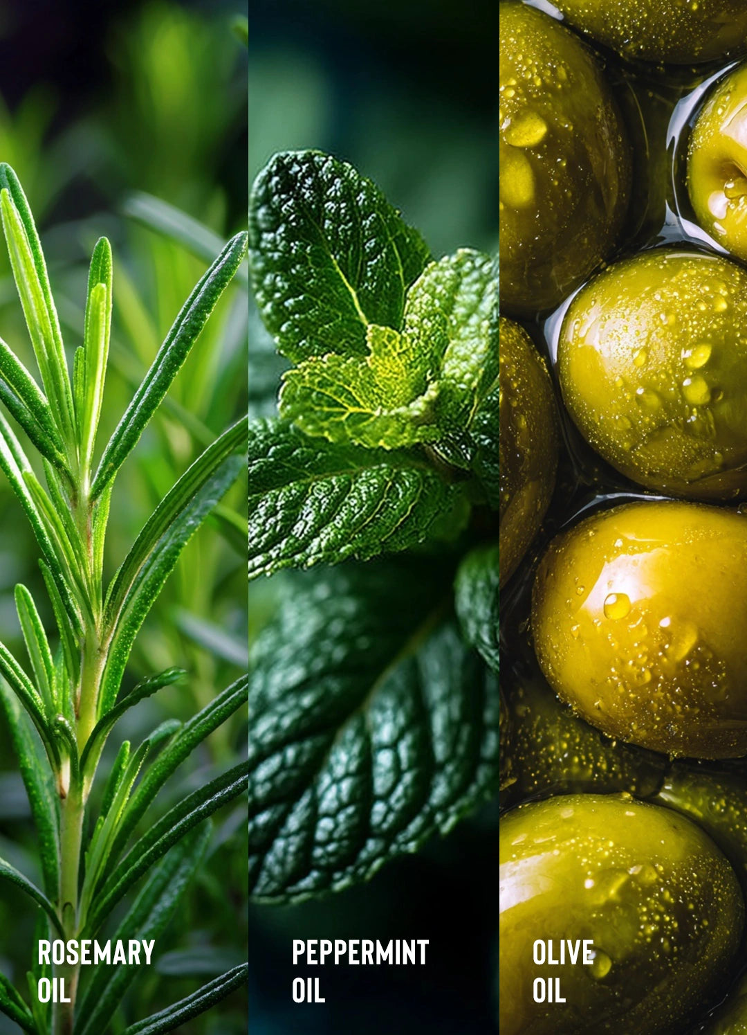 Rosemary Oil Strengthening Hair & Scalp Drops - Image 5