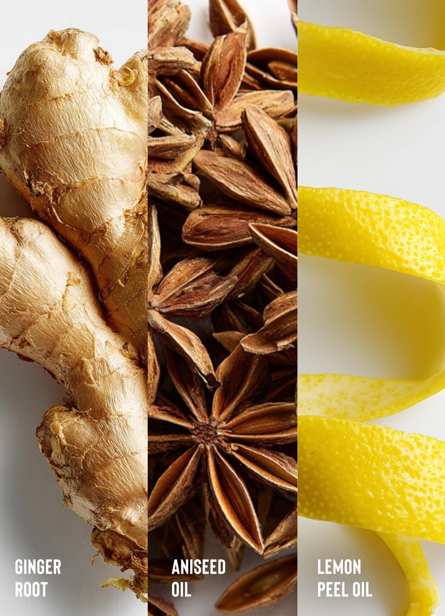 Sweet Ginger Cleansing Rinse - Image 5